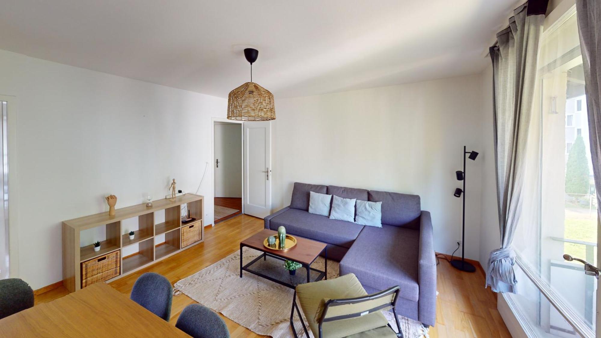The Ideal 3br Just What Need Apartment Zurich